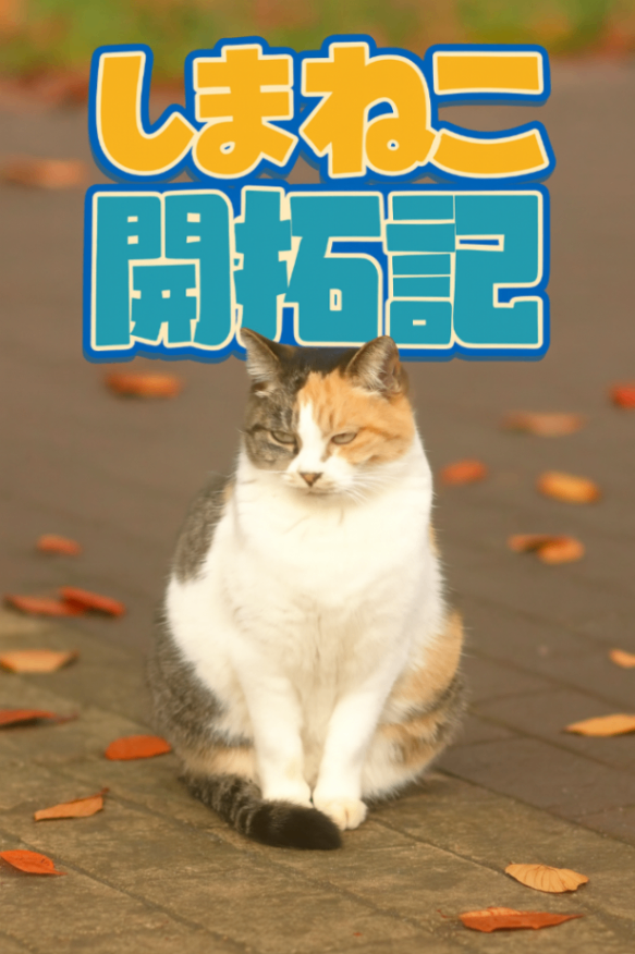 しまねこ開拓記